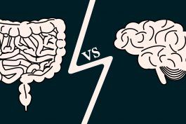 Връзката на чревния мозък: Как здравето на червата влияе на психичното здраве