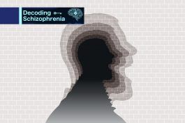 Šest mitov o shizofreniji