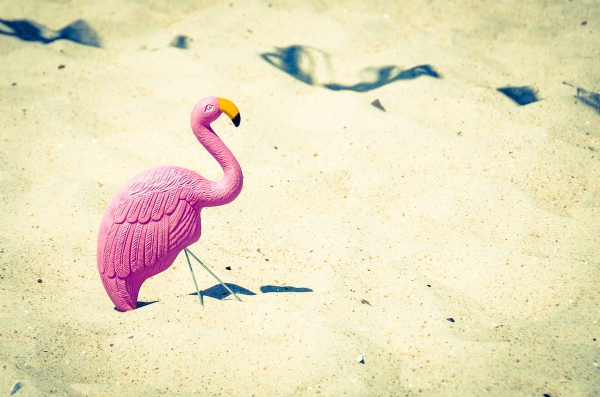 Plastični flamingo v pesku