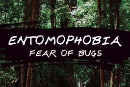 Entomophobia (frykt for insekter): Hvordan overvinne frykten for insekter