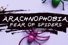Arachnophobia: ความกลัวของแมงมุมและวิธีเอาชนะมัน