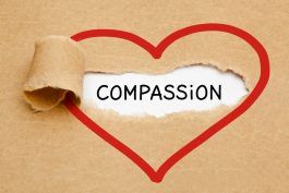 Līdzjūtības māksla: kā atpūsties garīgas slimības gadījumā