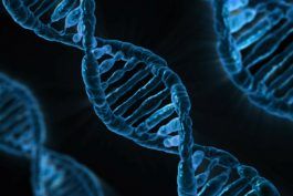 Farmakogenomika: Ako funguje testovanie DNA na lieky?